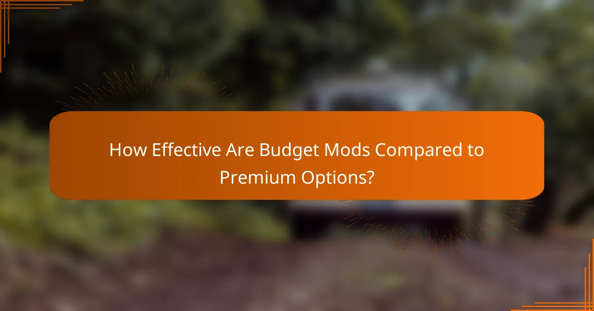 How Effective Are Budget Mods Compared to Premium Options?